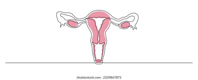 One continuous line drawing of woman uterus. Ovary and womb reproductive health in simple linear style for logo and web banner gynecology medical clinic. Editable stroke. Outline vector illustration