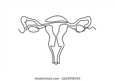 One continuous line drawing of woman uterus. Ovary and womb reproductive system in simple linear style for logo and web banner gynecology medical clinic. Editable stroke. Flourish vector illustration