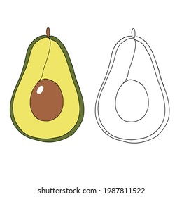One continuous line hand drawn avocado with green and brown colours. Vector illustration. 