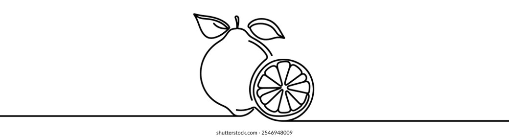 One continuous line illustration of a lime, isolated on white background. Line art of lime