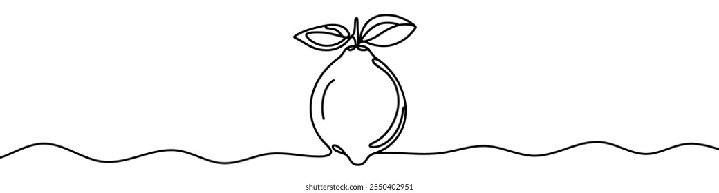 One continuous line illustration of a lime, isolated on white background. Line art of lime