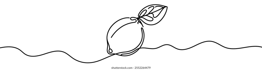 Ilustração em linha contínua de uma cal, isolada sobre fundo branco. Linhagem da cal