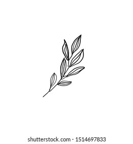 One continuous line leaf drawing. Minimalism botanic elements. Organic idea for logotype. Floral object in graphic style. 