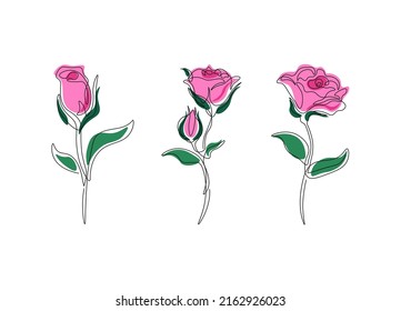 One continuous line rose flower set. Modern blossomed roses art, hand drawn flowers for print, tattoo. Colored graphic vector illustrations
