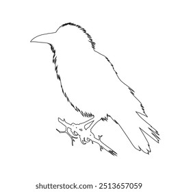 One continuous line. Silhouette of a crow. One continuous line drawing of logo isolated minimal illustration.  flat doodle animal, bird, crow, feather, wing, fight, raven