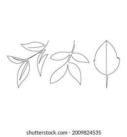 one continuous line silhouette of leaf