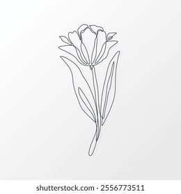 One Continuous Line of a Simple Tulip Flower with Leaves. Hand drawn spring herbs and plants. Abstract floral sketch in one continuous line drawing. Perfect as a logo, tattoo, greeting cards, website,