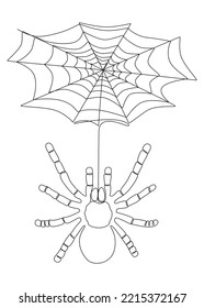 One continuous line of spider and its web. Thin Line Illustration vector concept. Contour Drawing Creative ideas.