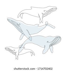 One continuous line whales. World ocean day. Save the whales. Vector line art. Perfect for print, poster, textile, wrapping paper