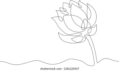 Una línea continua. Una hermosa flor abierta. Una línea continua se dibuja sobre un fondo blanco.
