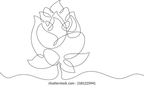 One continuous line.Flower bud. A beautiful open flower. One continuous line is drawn on a white background.