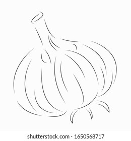 One continuous single drawing line art flat doodle cartoon, character, food, spice, vegetable, garlic, bulb. Isolated image hand draw contour on a white background
