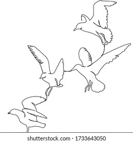 One continuous single drawing line art doodle bird, seagull, wing, gull, nature, flying. Isolated flat illustration hand draw contour on a white background
