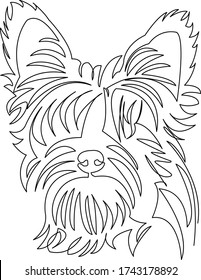 One continuous single drawing line art doodle animal, pet, dog, Yorkshire Terrier, doggy. Isolated flat illustration hand draw contour on a white background
