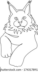 One continuous single drawing line art doodle animal, animal, pet, cat, kitten, beautiful, mammal. Isolated flat illustration hand draw contour on a white background
