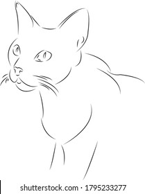 One continuous single drawing line art flat doodle concept, animal, cat, pet, cute, graphic, kitten. Isolated image hand draw contour on a white background
