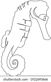 One continuous single drawing line art flat doodle horse, animal, marine, tropical, seahorse. Isolated image hand draw contour on a white background
