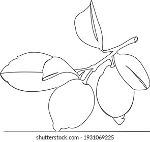 One continuous single drawing line art flat doodle lemon, fruit, fresh, yellow, juicy. Isolated image hand draw contour on a white background
