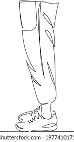 One continuous single drawing line art flat doodle leg, shoe, sneaker, fashion, pants, foot, footwear. Isolated image hand draw contour on a white background

