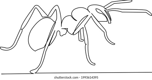 One continuous single drawing line art flat doodle ant, insect, animal, white, fauna. Isolated image hand draw contour on a white background
