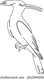 One continuous single drawing line art flat doodle bird, animal, wildlife, woodpecker, nature, feather, forest. Isolated image hand draw contour on a white background

