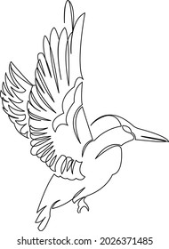 One continuous single drawing line art flat doodle hummingbird, feather, bird, colorful, nature, colibri. Isolated image hand draw contour on a white background
