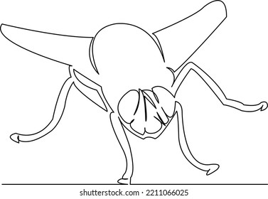 512 Housefly Outline Images, Stock Photos & Vectors 