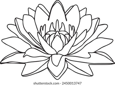 Une seule ligne de dessin continue art doodle plat fleur, belle, plante, nature, lis, flore, lotus. Isolé  Image dessiné à la main sur fond blanc