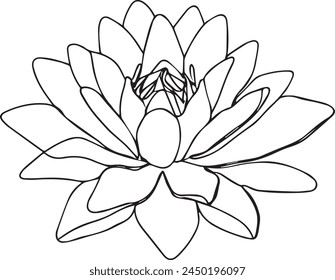 Un seul dessin continu art doodle plat beau, fleur, lotus, floraison, eau, lis, flore. Isolé  Image dessiné à la main sur fond blanc