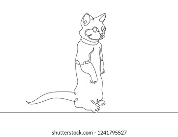 One continuous single drawn line art doodle cat kitty animals.The image of pets.