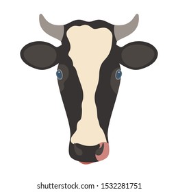 The one cow is isolated on white background.