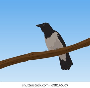 One crow sits on a branch. Vector illustration