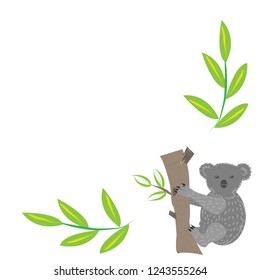 one cute bear Koala sitting on a tree with two branches of eucalyptus with space for text