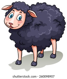 One cute black sheep on a white background