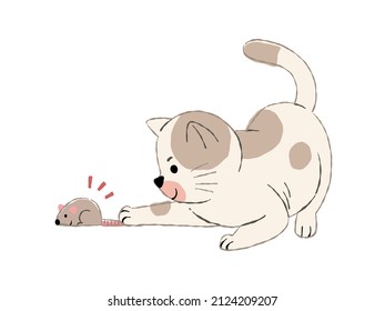 one cute cat catching mouse