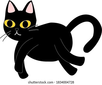 
One cute fat black kitten