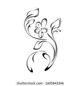 one decorative blooming flower on a curved stem with leaves and curls in black lines on a white background