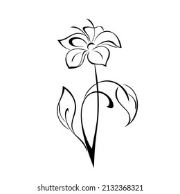 one decorative blooming flower on a stem with leaves. graphic decor