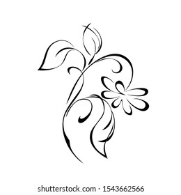 one decorative blossoming flower on a curved stalk with leaves in black lines on a white background