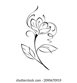one decorative flower with curls on a stem with two leaves. graphic decor