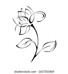 one decorative flower on a curved stalk with leaves in black lines on a white background
