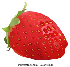 One delicious and juicy stawberry on a white background