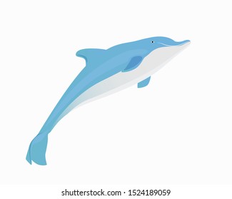 One dolphin blue lovely on white background