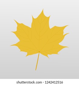 one drawn leaf vector illustration