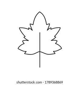 Ein Element ist Doodle auf weißem Hintergrund. Natur, Herbst und Herbst Blätter. Ahorn-, Birch- und Eichenblätter. Laubbaum. Herbstwetter und Laubfall. Vektorgrafik einer Kontur, Symbol