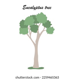One Eucalyptus tree icon, flat style vector
