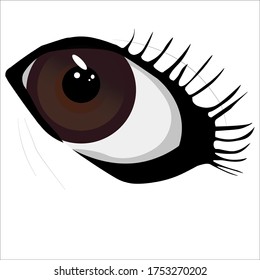 the one eye ilustration art