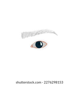 one eye vector illustration artwork