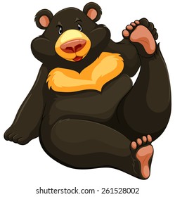 One fat bear on a white background