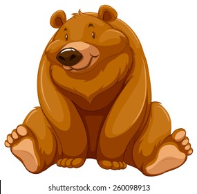 One fat brown bear on a white background